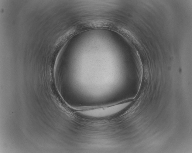 X0000071850453200607141754