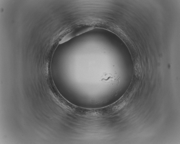 X0000071850454200607141754