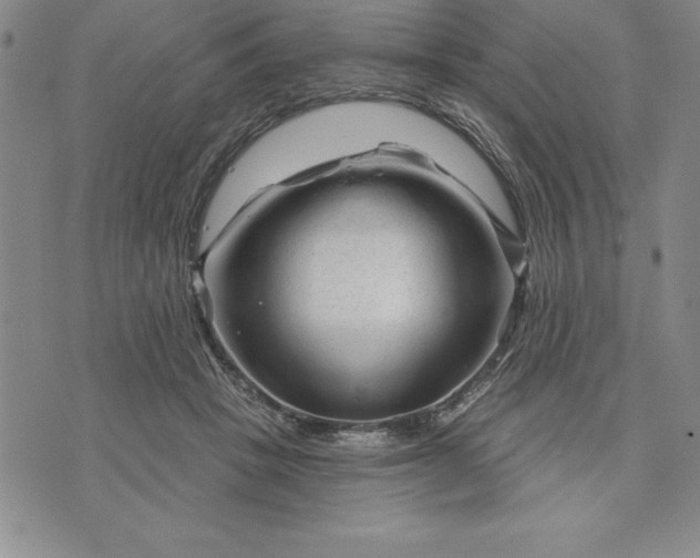 X0000071850457200607141754