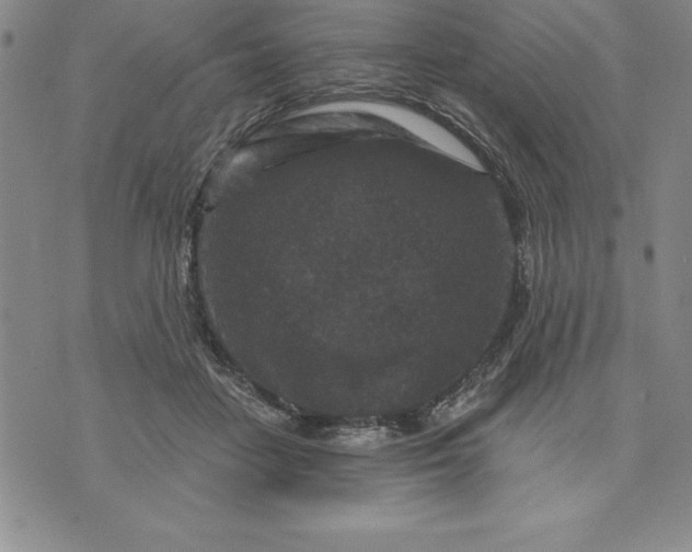 X0000071850458200607141754