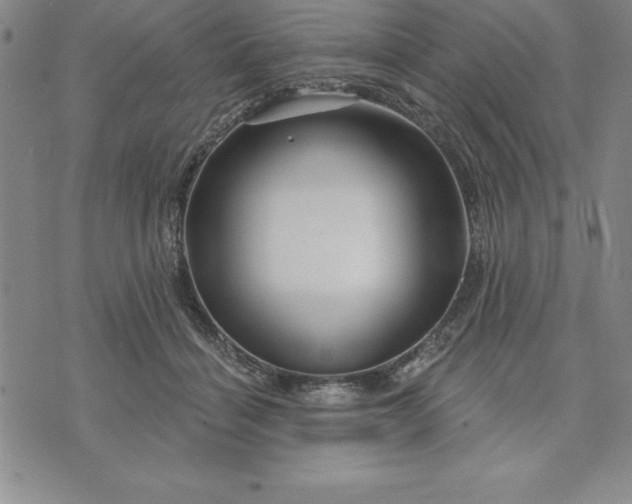 X0000071850460200607141754