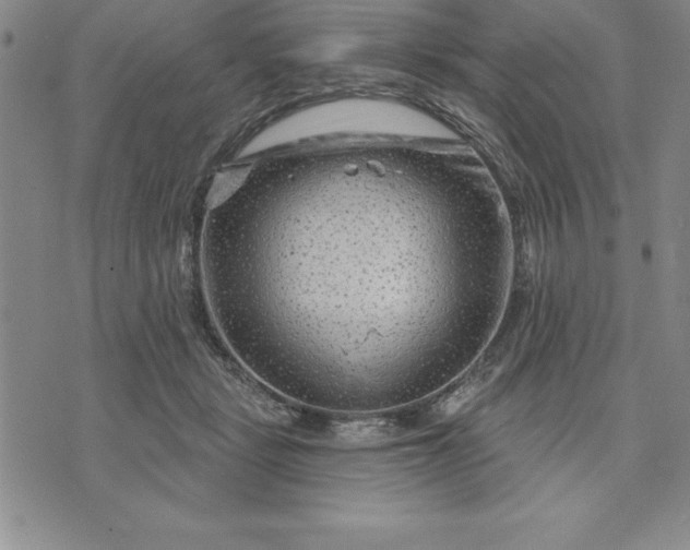 X0000071850461200607141754