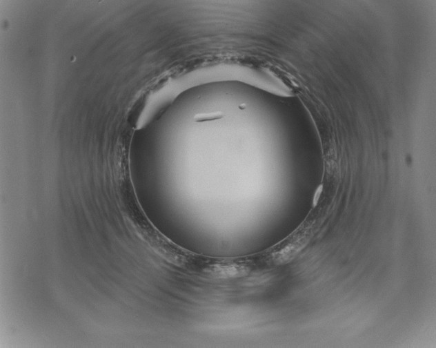 X0000071850464200607141754