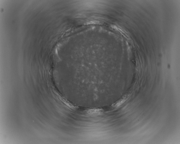 X0000071850465200607141754