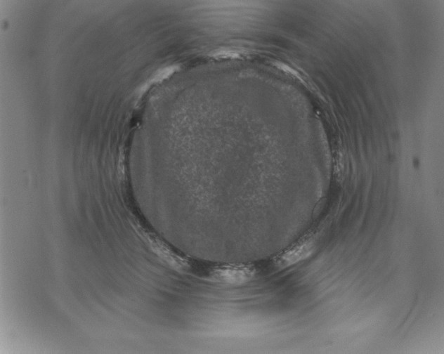 X0000071850466200607141754