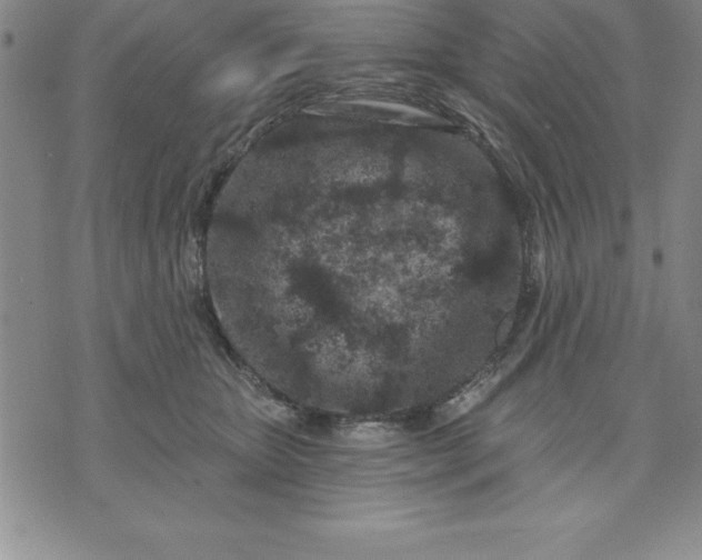 X0000071850467200607141754