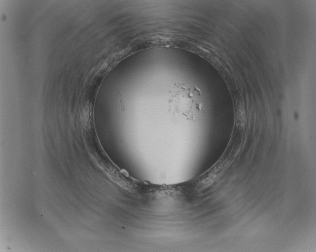 X0000071850468200607141754