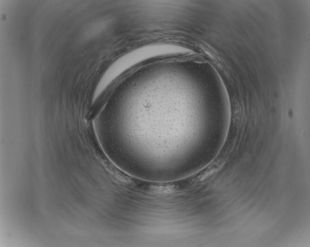 X0000071850469200607141754