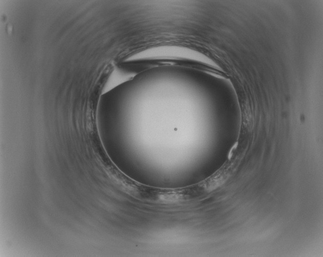 X0000071850470200607141754