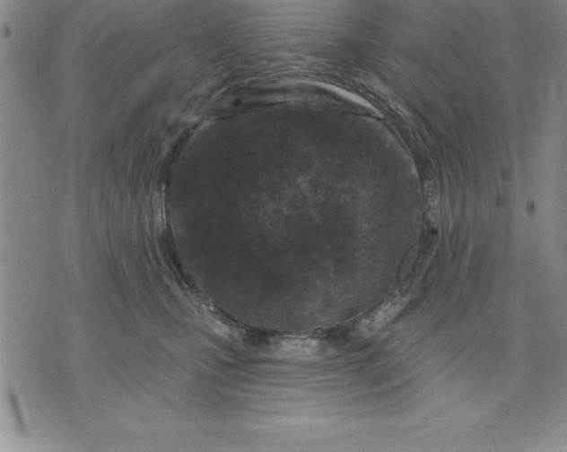 X0000071850471200607141754