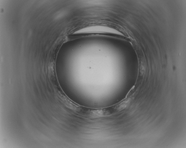 X0000071850473200607141754