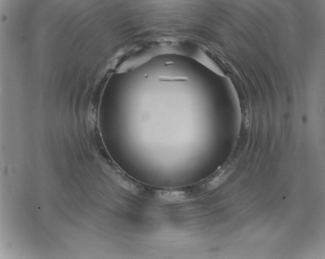 X0000071850476200607141755