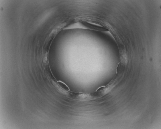 X0000071850477200607141755