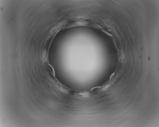 X0000071850478200607141755