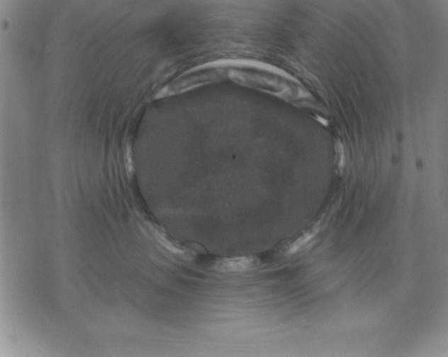 X0000071850479200607141755