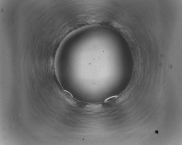 X0000071850480200607141755