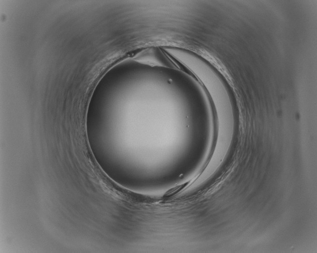 X0000071850481200607141754