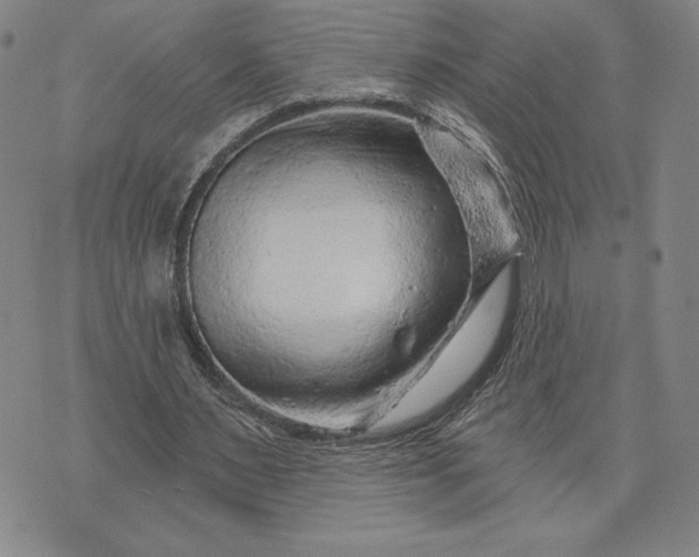 X0000071850483200607141754