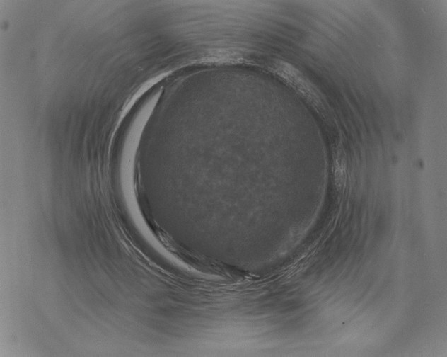 X0000071850484200607141754