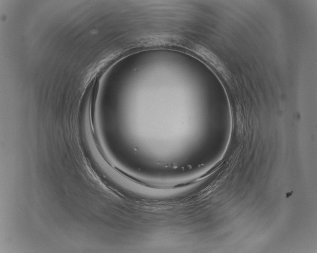 X0000071850485200607141754