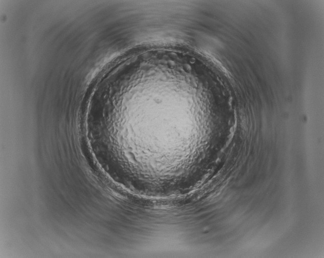 X0000071850487200607141754