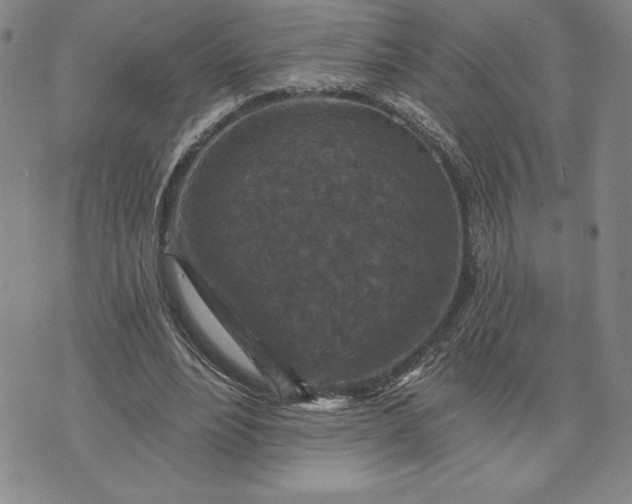 X0000071850488200607141754