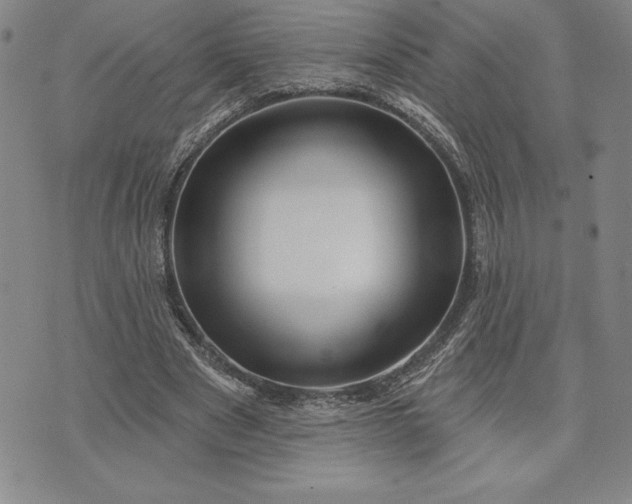 X0000071850489200607141754