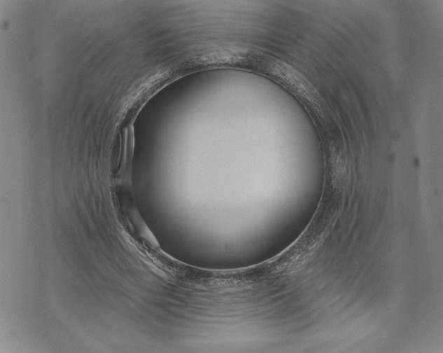 X0000071850490200607141754