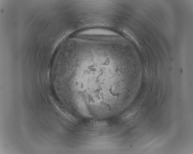 X0000071850491200607141754