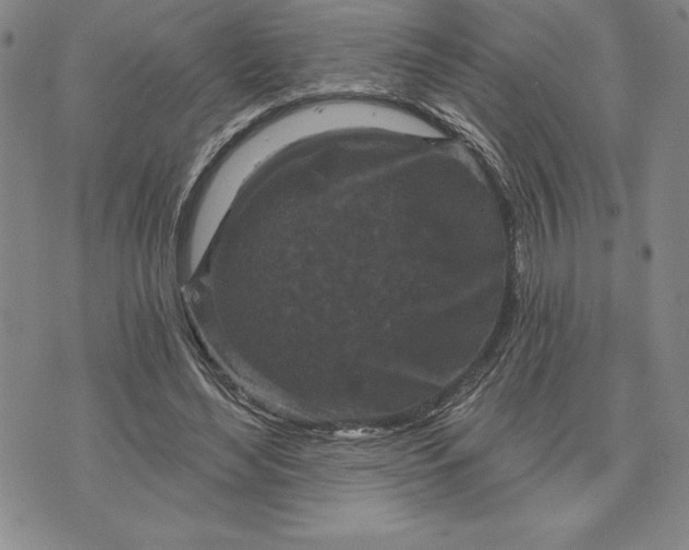 X0000071850492200607141754