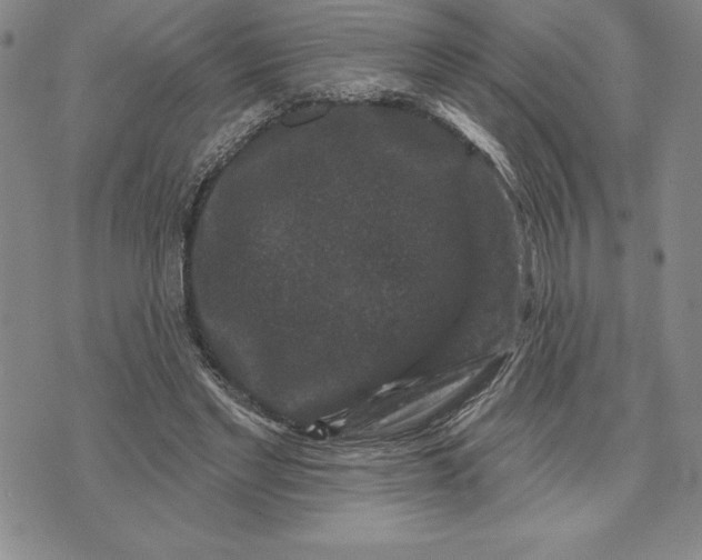 X0000071850493200607141754