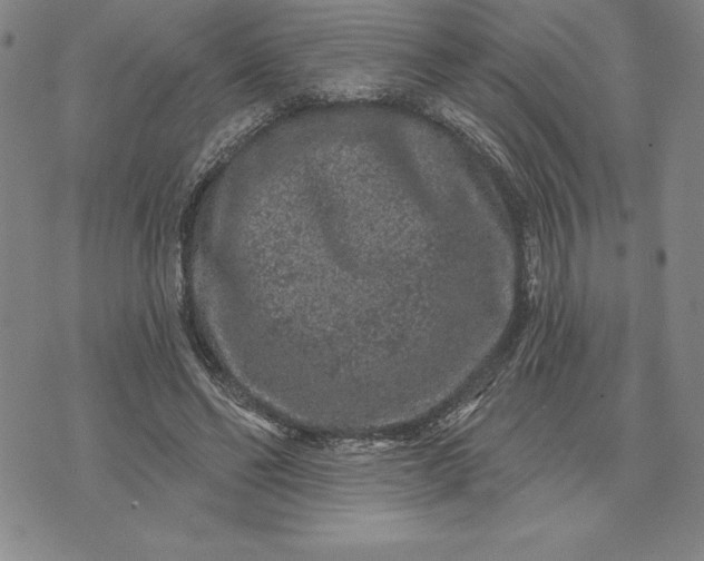 X0000071850494200607141754