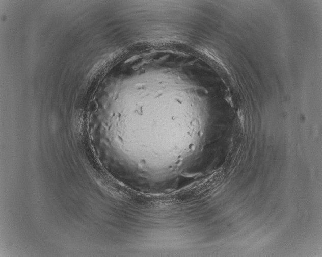 X0000071850495200607141754