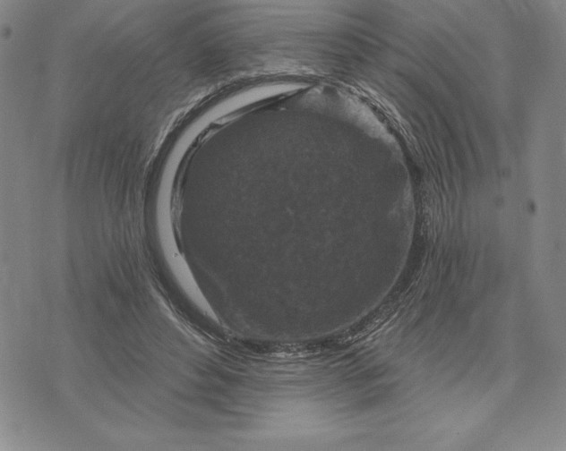 X0000071850496200607141754