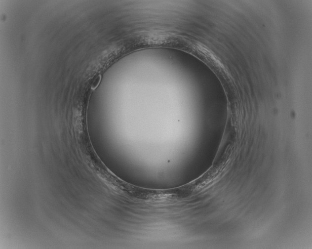 X0000071850497200607141754