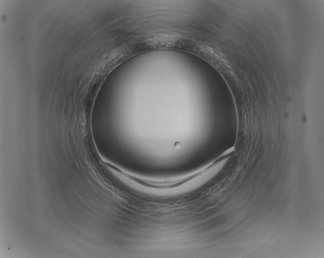 X0000071850498200607141754