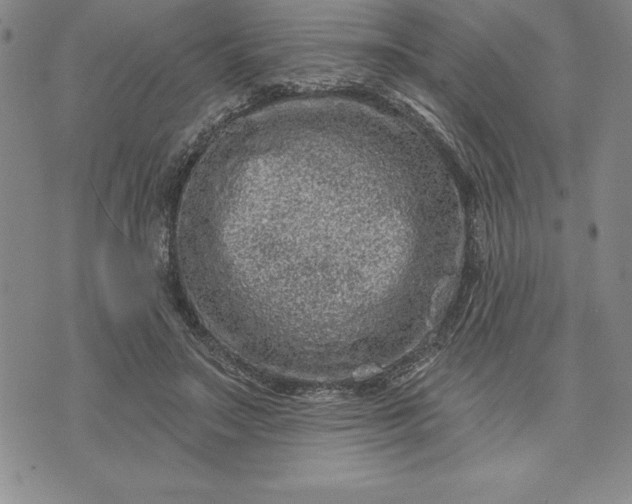 X0000071850499200607141754