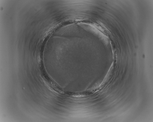 X0000071850500200607141754