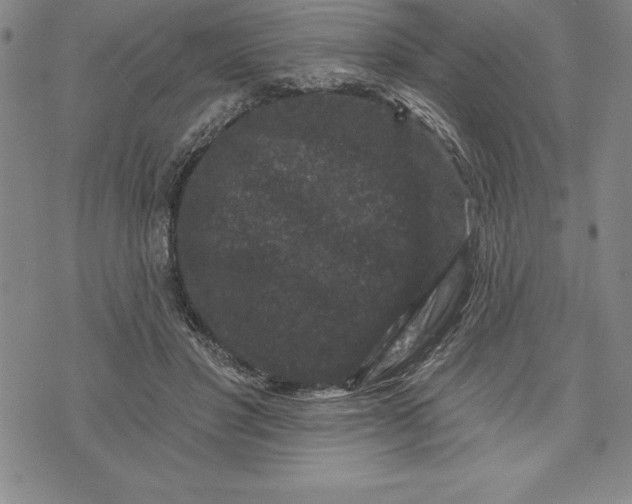 X0000071850501200607141753