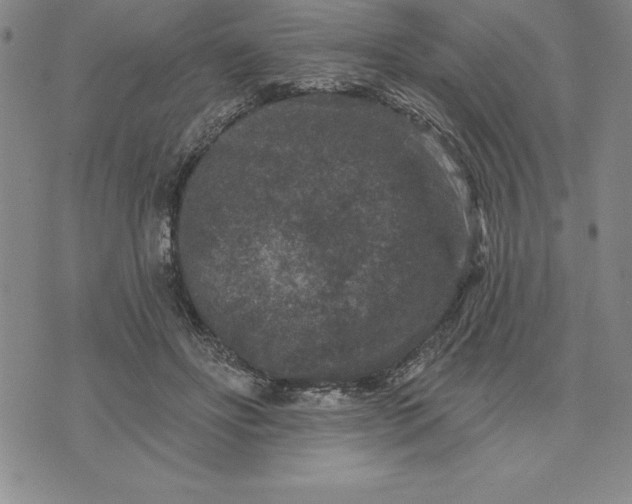 X0000071850502200607141753