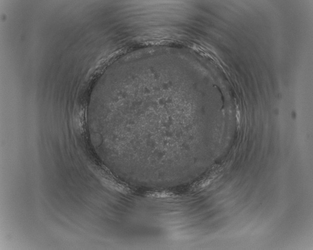 X0000071850503200607141753