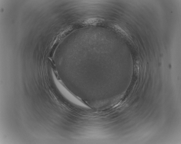 X0000071850504200607141753