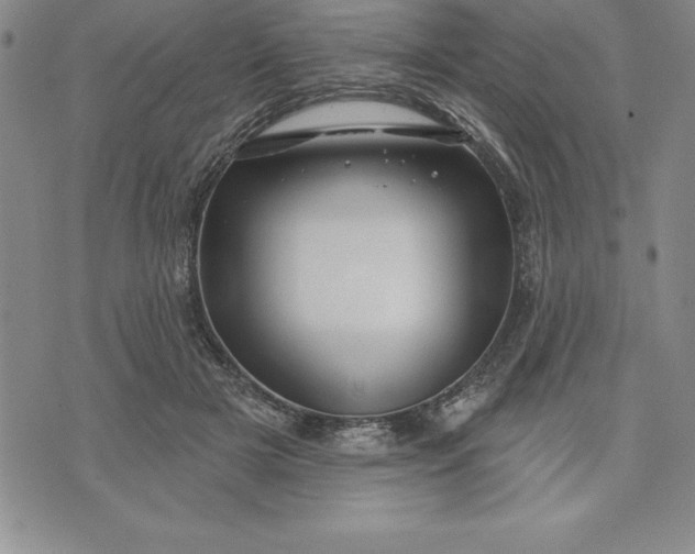 X0000071850505200607141753