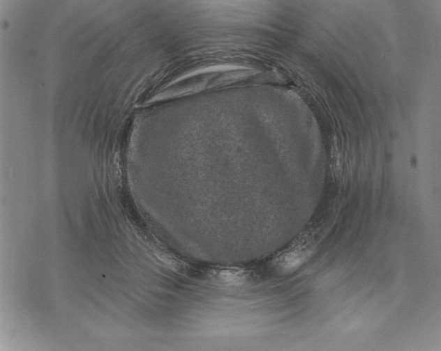 X0000071850506200607141753