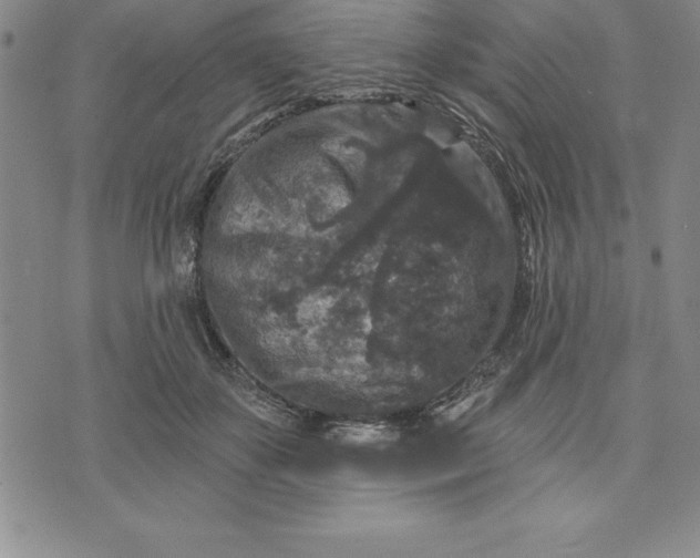 X0000071850507200607141753