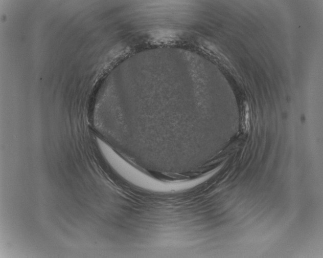 X0000071850508200607141753