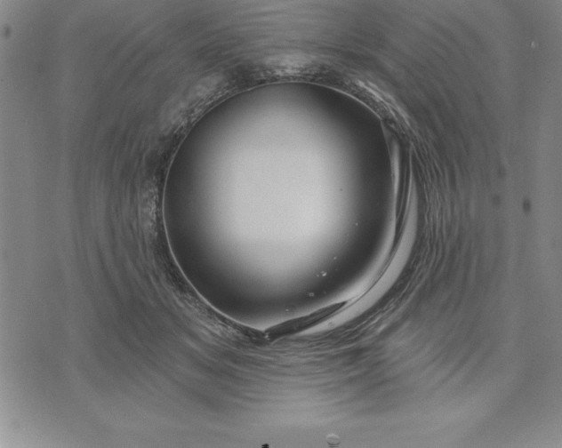 X0000071850509200607141753