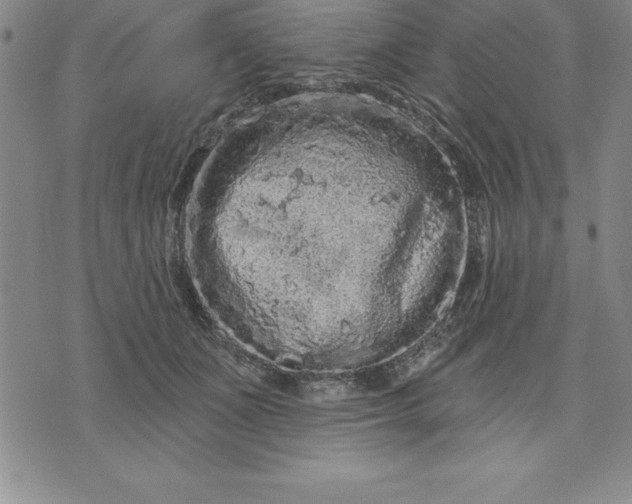 X0000071850511200607141753