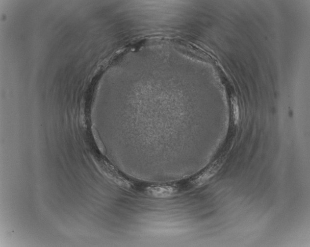 X0000071850512200607141753