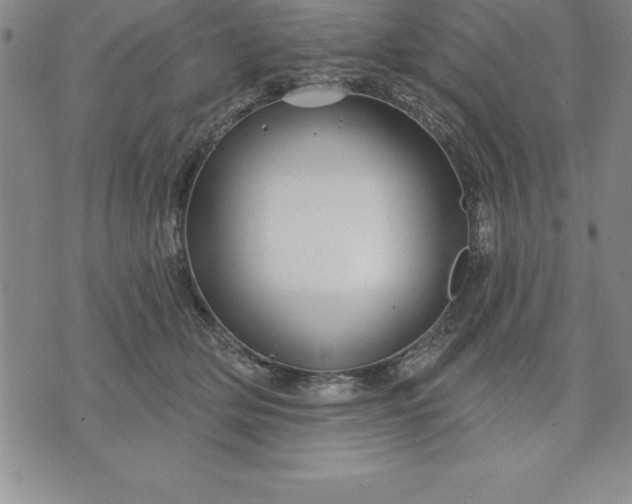 X0000071850514200607141753